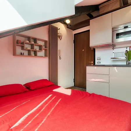 Multifunctional Stylish Studio Apartment